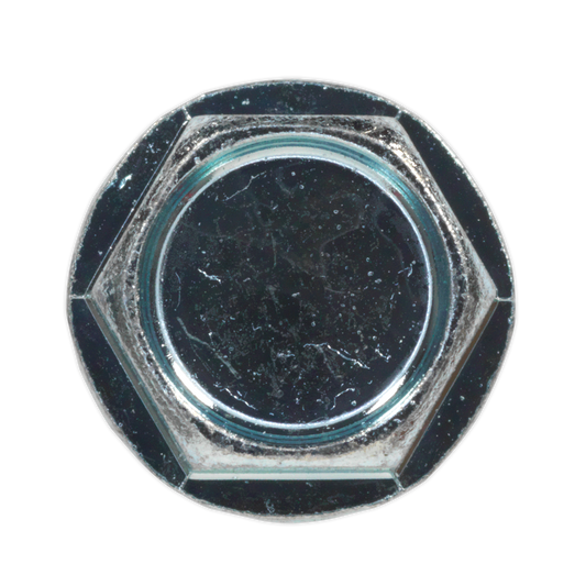 Zinc Plated Self-Drilling Hex Head Screw - Pack of 100