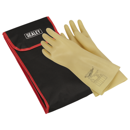 Electrician's Gloves Bag