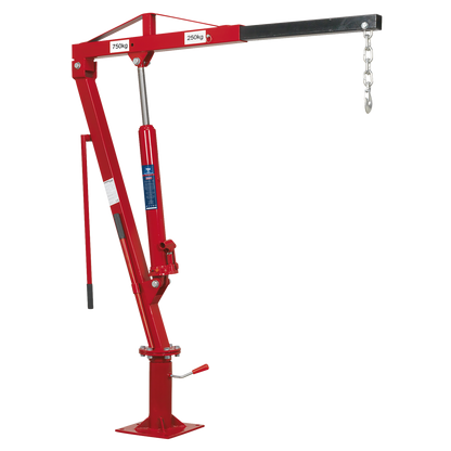 Static Mounted Crane 750kg