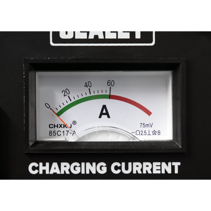 12/24V Starter/Charger 180/40A 230V