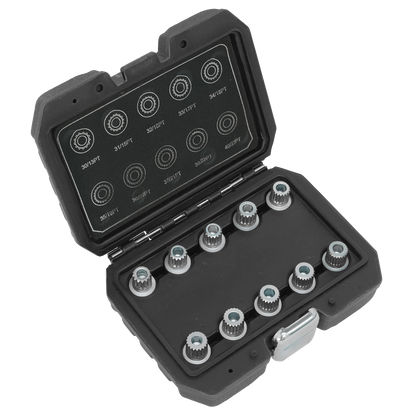 Locking Wheel Nut Key Set for BMW & Mini 10pc