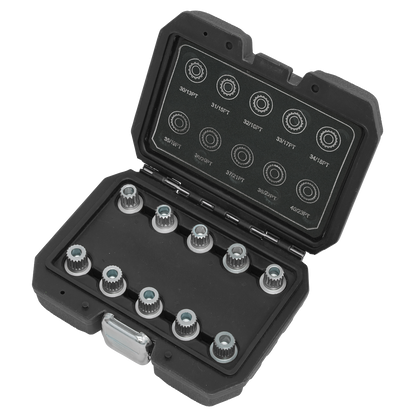 Locking Wheel Nut Key Set for BMW & Mini 10pc