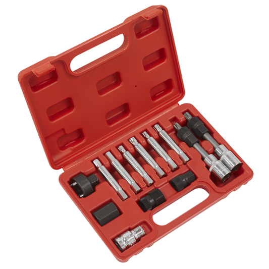 Alternator Freewheel Removal Set 13pc