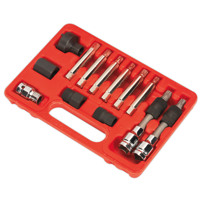 Alternator Freewheel Removal Set 13pc