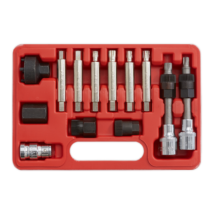 Alternator Freewheel Removal Set 13pc