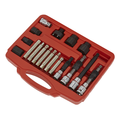 Alternator Freewheel Pulley Removal Set 18pc