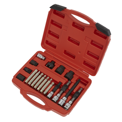 Alternator Freewheel Pulley Removal Set 18pc