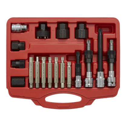 Alternator Freewheel Pulley Removal Set 18pc