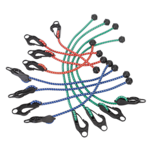 Assorted Tarpaulin Cord Set 12pc