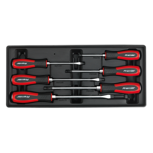 Premier Hammer-Thru Screwdriver Set with Tool Tray 6pc