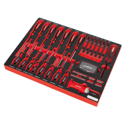 Premier Platinum Screwdriver Set with Tool Tray 72pc