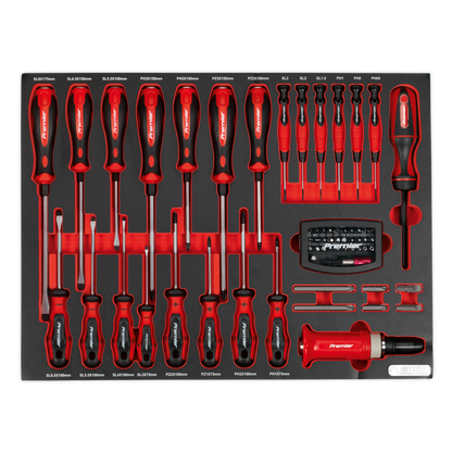 Premier Platinum Screwdriver Set with Tool Tray 72pc