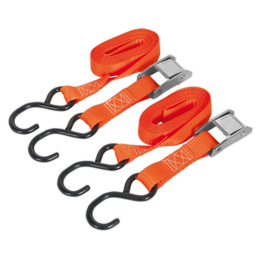 Cam Buckle Strap Polyester Webbing with S-Hooks 25mm x 2.5m 250kg Breaking Strength