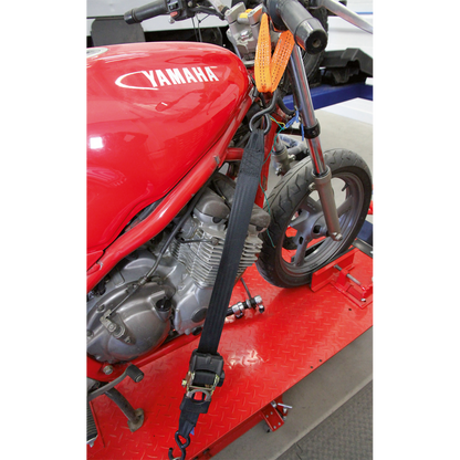 Tie Down Securing Loop - Pair