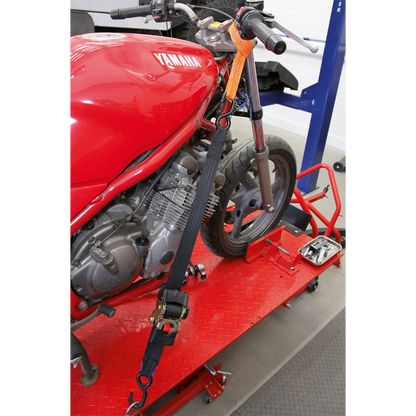 Tie Down Securing Loop - Pair