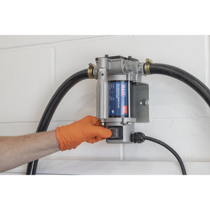 Portable Diesel/Fluid Transfer Pump 12V