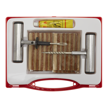 Temporary Puncture Repair Kit