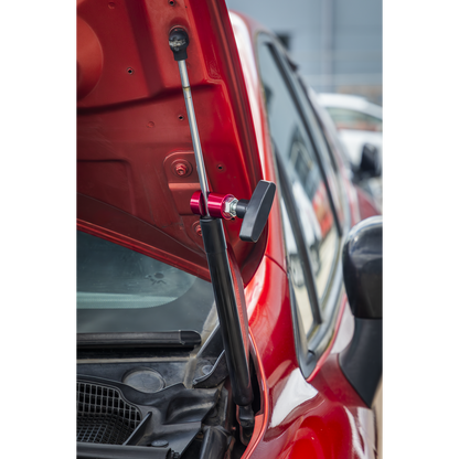 Bonnet Strut Clamp