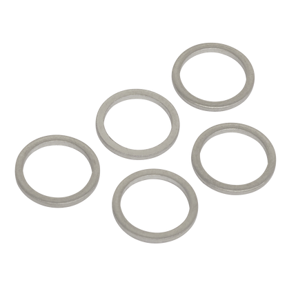 Sump Plug Washer M13 - Pack of 5