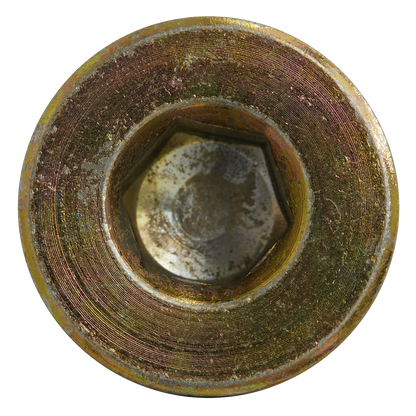 Sump Plug M20 - Pack of 5