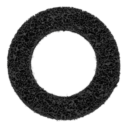 Cleaning Disc for VS8001