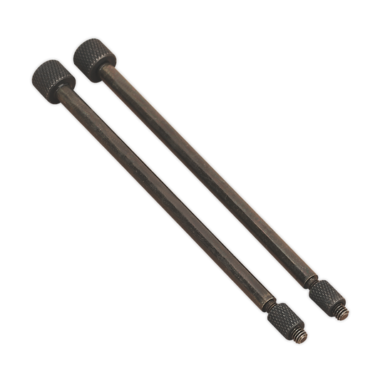 Door Hinge Removal Pin - Pack of 2