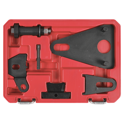 Front Pulley & Flywheel Locking Tool Set