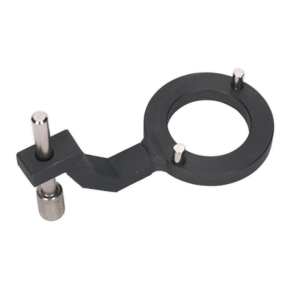 Fuel Pump Holding Tool - for Jaguar, Land Rover 3.0D - Belt Drive