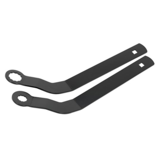 Auxiliary Belt Tensioner Spanner Set for BMW Mini N12/N14/N16/N18 - Chain Drive