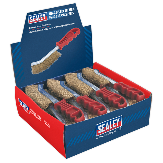 Wire Brush Brassed Steel Plastic Handle - Display Box of 24